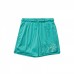 Шорты Jordan  Essentials Mesh Turquoise Shorts