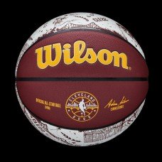 Мяч баскетбольный Wilson 2022 All-Star Game Collectors Edition Basketball